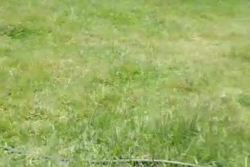 6778187_15891755703063477208401004241646078643710626606434165081091849707111688844623